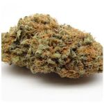 Шишки AK47  (Гидропоника, Бошка) VHQ в Междуреченске